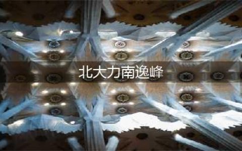 南逸峰北大力梗的来源及出处