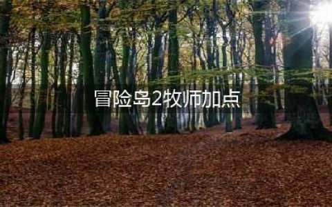 冒险岛2牧师加点方法 牧师怎么加点(冒险岛2牧师加点)