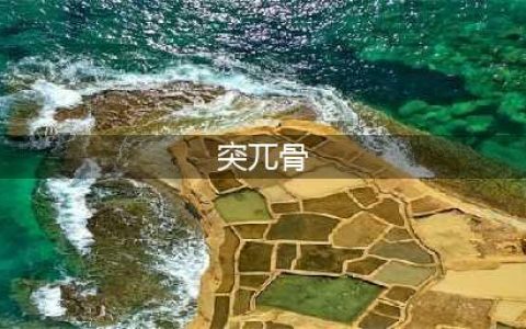 《三国志战略版》兀突骨怎么样 兀突骨属性介绍(突兀骨)