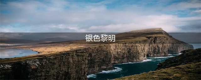《魔兽世界怀旧服》银色黎明勇气勋章作用是什么 银色黎明勇气勋章作用分享(银色黎明)