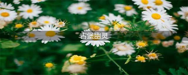《月圆之夜》古堡幽灵有什么打法 古堡幽灵故事剧情介绍(古堡幽灵)