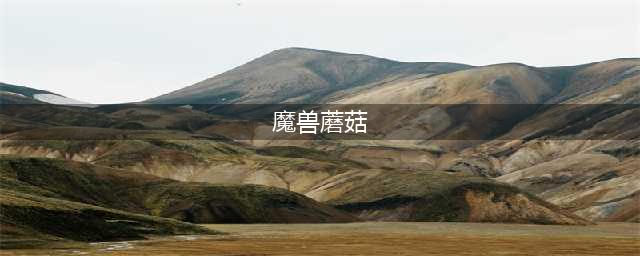 魔兽攻略大的出奇的蘑菇怎么获得 大的出奇的蘑菇有什么用
