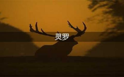 英雄联盟S12灵罗娃娃天赋怎么点 S12灵罗娃娃天赋加点推荐(灵罗)