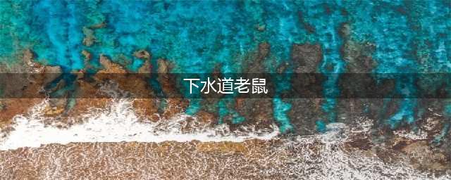 炉石下水道老鼠效果一览