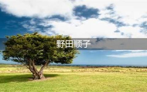 《真三国无双8》武将日文配音演员及作品介绍 真三国无双8声优介绍(野田顺子)