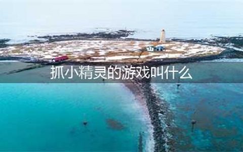 抓精灵的游戏有哪些推荐2021 精灵类型的游戏排行榜(抓小精灵的游戏叫什么)