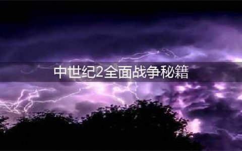 《中世纪2：全面战争》攻略心得分享(中世纪2全面战争秘籍)