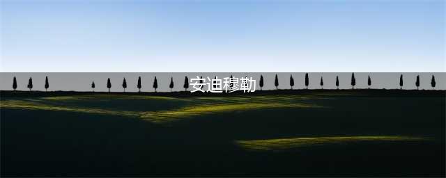 《实况足球2017》大师联赛球星安迪穆勒解析(安迪穆勒)
