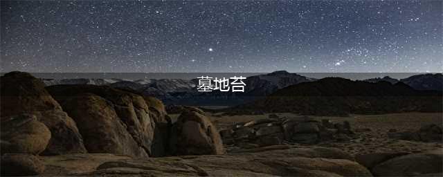 魔兽世界怀旧服墓地苔在哪 墓地苔位置介绍