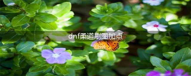 《DNF》女柔道家110级刷图加点详解(dnf柔道刷图加点)