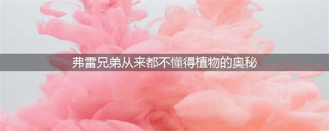 《哈利波特魔法觉醒》弗雷兄弟从来都不懂得植物的奥秘 当砖墙缓缓打开线索在哪里