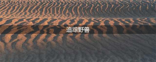 《魔兽世界怀旧服》猎人有哪些技能 猎人技能介绍(追踪野兽)