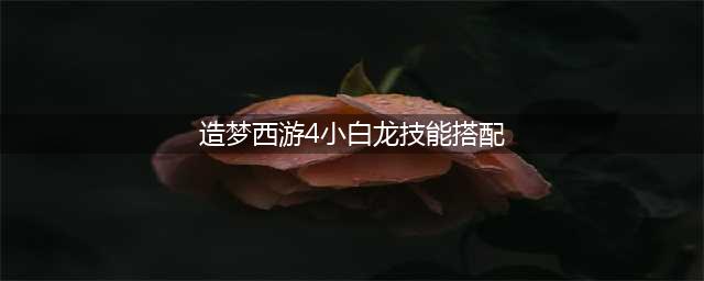 《造梦西游4手机版》小白龙技能怎么搭配 小白龙搭配推荐(造梦西游4小白龙技能搭配)