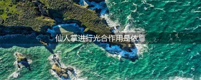新手必看 天仙道答题库答案曝光(仙人掌进行光合作用是依靠)