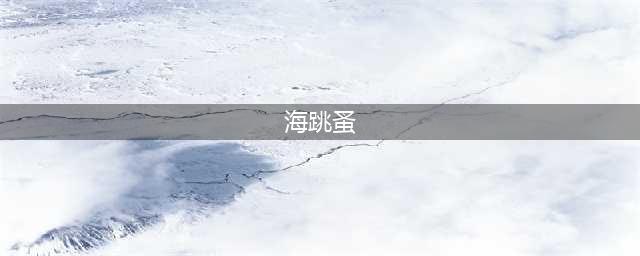 《逃离塔科夫》海跳蚤市场最新改动是什么 海跳蚤市场最新改动一览(海跳蚤)