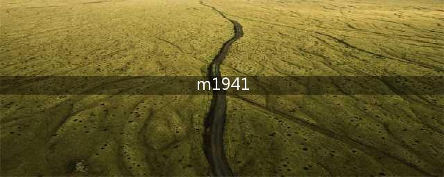 《使命召唤14》M1941属性及推荐配置介绍(m1941)