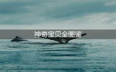 神奇宝贝最全图鉴 神奇宝贝官方最全图鉴一览
