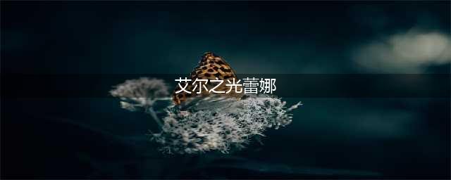 艾尔之光蕾娜新二传夜巡者分析报告(艾尔之光蕾娜)