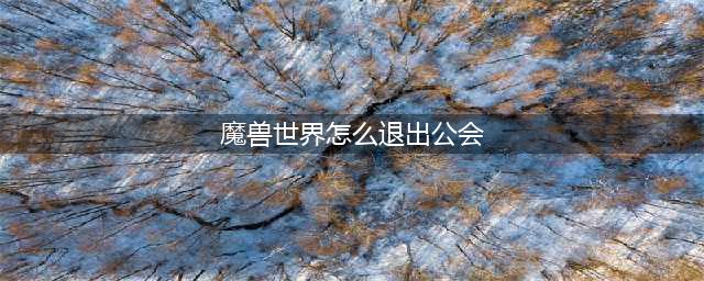 魔兽世界公会退出步骤详解
