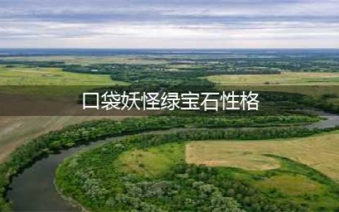 《口袋妖怪究极绿宝石5.3》性格薄荷问答答案大全(口袋妖怪绿宝石性格)