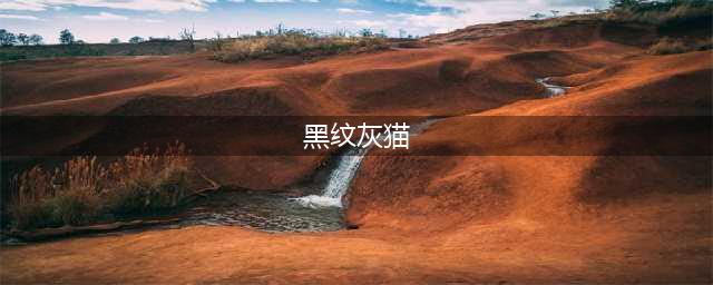 《魔兽世界怀旧服》黑纹灰猫获取攻略 黑纹灰猫获得位置一览(黑纹灰猫)