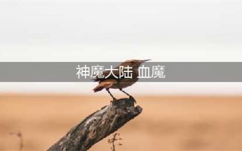 《新神魔大陆》血魔怎么玩 血魔玩法攻略(神魔大陆 血魔)