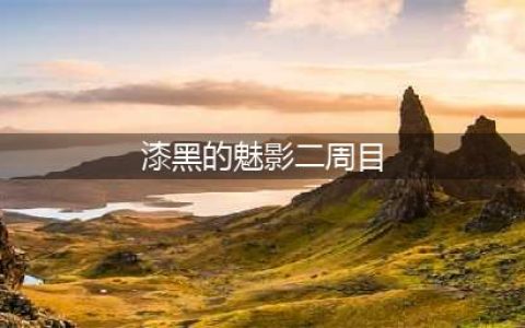 《宝可梦漆黑的魅影》5.0攻略完整二周目具体介绍