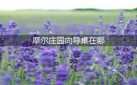 摩尔庄园手游向导桌在哪里领 领取地点分享