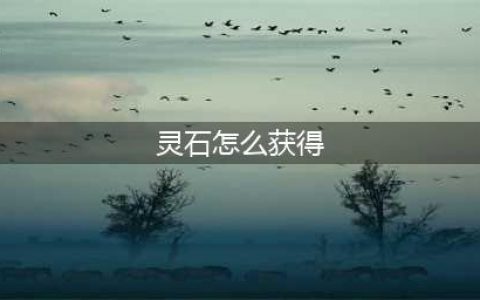 我的门派灵石怎么获得(灵石怎么获得)