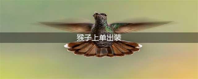 《英雄联盟》12.9版本上单猴子玩法出装推荐(猴子上单出装)