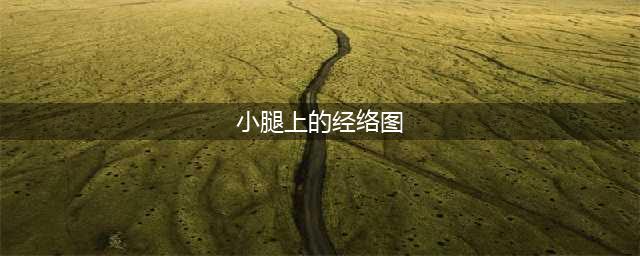 每个人的小腿内侧 都隐藏着一个秘密(小腿上的经络图)