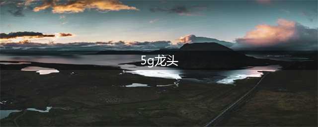 5G真正的五个龙头都是谁？(5g龙头)