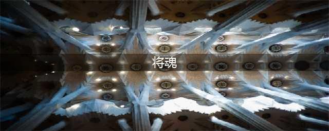 《三国志幻想大陆》将魂怎么样 将魂一览(将魂)