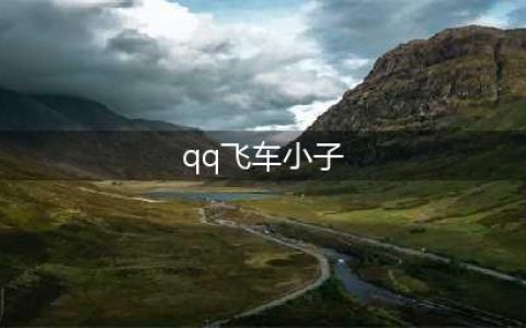 QQ飞车手游宠物西瓜小子介绍