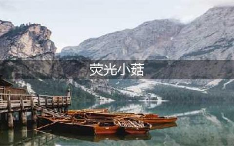 光遇荧光小菇恢复能量攻略