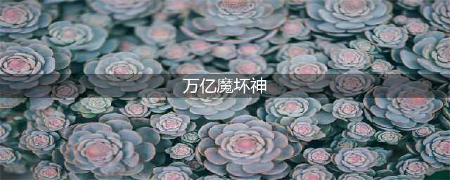 《万亿魔坏神》一次性获得9999经验邪道攻略 战斗方式及推荐技能介绍(万亿魔坏神)