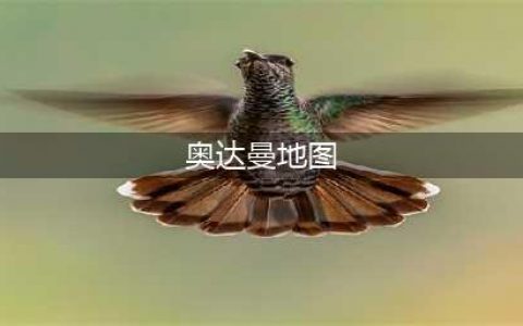 《魔兽世界怀旧服》奥达曼怎么去 地图线路与任务一览