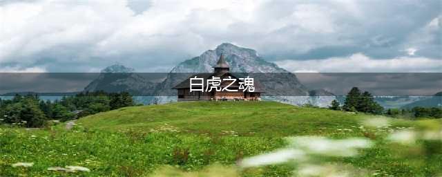 《暖雪》白虎之魂圣物作用效果介绍