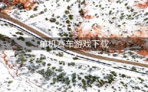 单机游戏赛车下载大全2022 好玩的单机赛车游戏有哪些(单机赛车游戏下载)