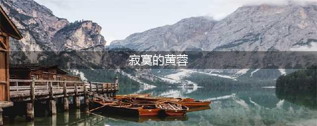 中年黄蓉的婚内寂寞(寂寞的黄蓉)