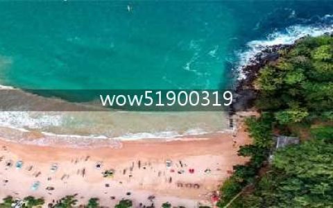 《魔兽世界》WOW51900319怎么办 WOW51900319解决办法(wow51900319)