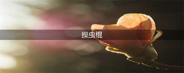《怪物猎人崛起》操虫棍怎么使用 操虫棍玩法介绍(操虫棍)