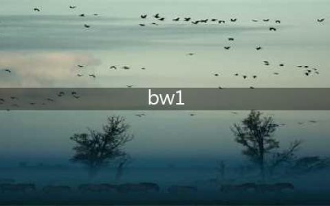 《明日方舟》BW-1通关攻略