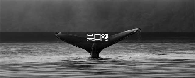 香港白鸽配日本经典电影，吴宇森带你重看《追捕》魅力(吴白鸽)