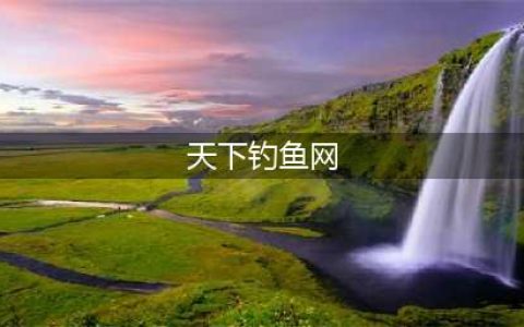《天下》手游钓鱼技巧 备全工具等雷钻！(天下钓鱼网)