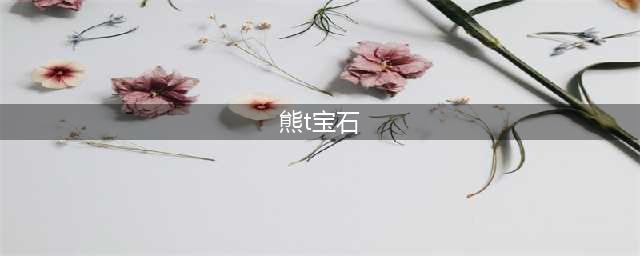 《魔兽世界》wlk熊德T宝石选择推荐