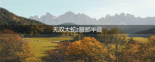 《无双大蛇3》服部半藏怎么使用 服部半藏使用技巧指南(无双大蛇z服部半藏)