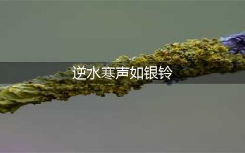 《逆水寒》歌声如银铃般的少女在哪 声如银铃任务完成攻略(逆水寒声如银铃)