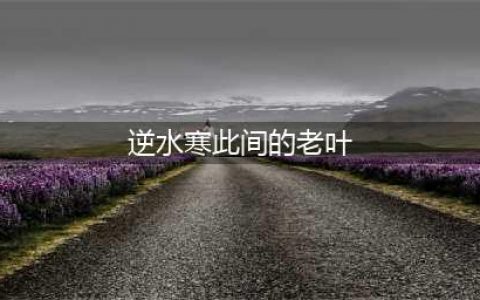 《逆水寒》此间的老叶二在哪里 此间的老叶二任务怎么做(逆水寒此间的老叶)
