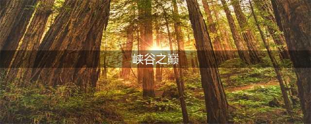 《lol》峡谷之巅资格怎么申请 2021峡谷之巅资格申请攻略(峡谷之巅)